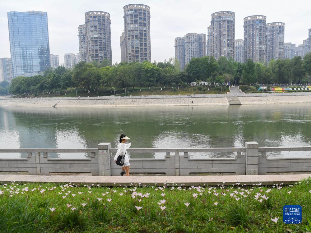 永利国际集团有限公司